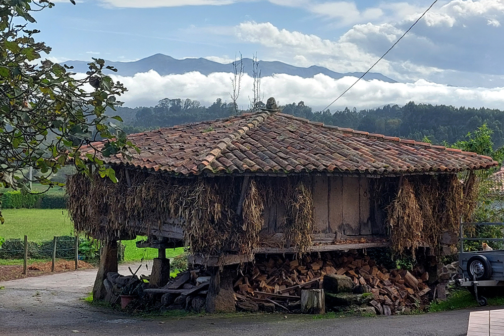 identidad cultural y patrimonio